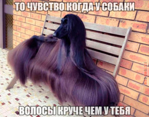 Что такое груминг
